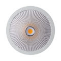 60W Outdoor Aluminium Rundflächenmontaged Downlight